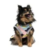 Cheer Pet Dress
