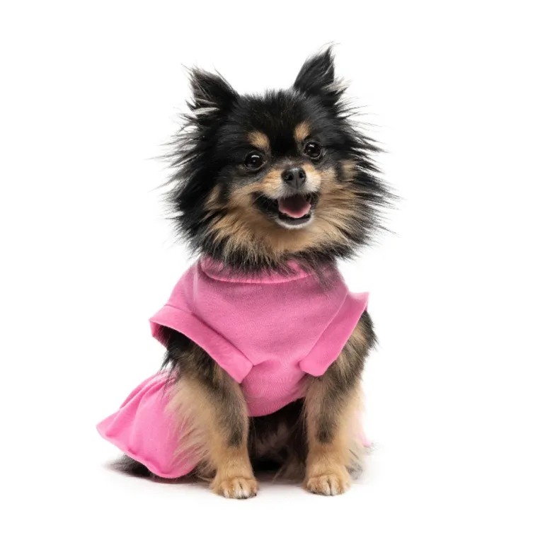 Cheer Pet Dress
