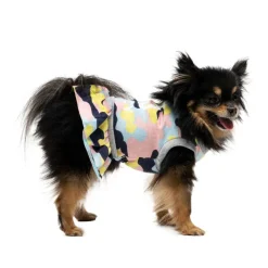 Cheer Pet Dress