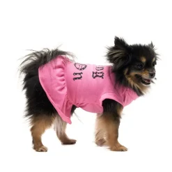 Cheer Pet Dress